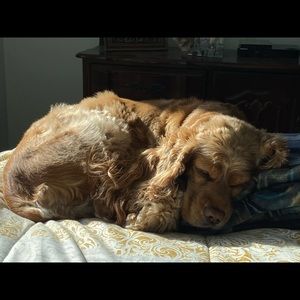 Meet your Posher, Fernanda